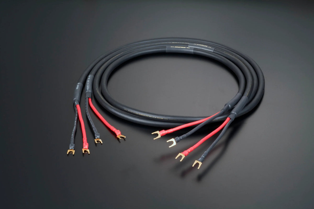 AET EVO-1302S SP speaker cable Y-lug