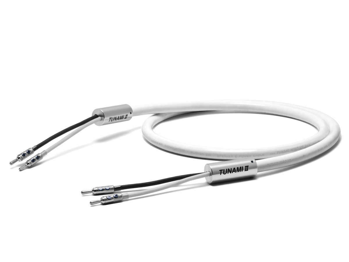 OYAIDE TUNAMI II SP-B V2 speaker cable - detail